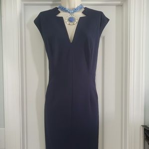 Business or Evening out dress